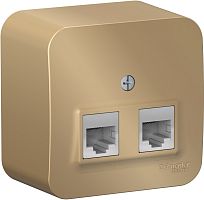 Розетка компьютерная накладная Systeme Electric Blanca 2-м. RJ45+RJ45 5e титан картинка